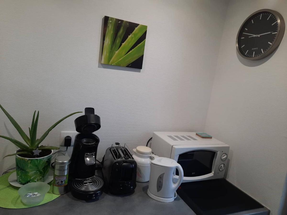 Studio Soleil Au Hohwald Esterno foto