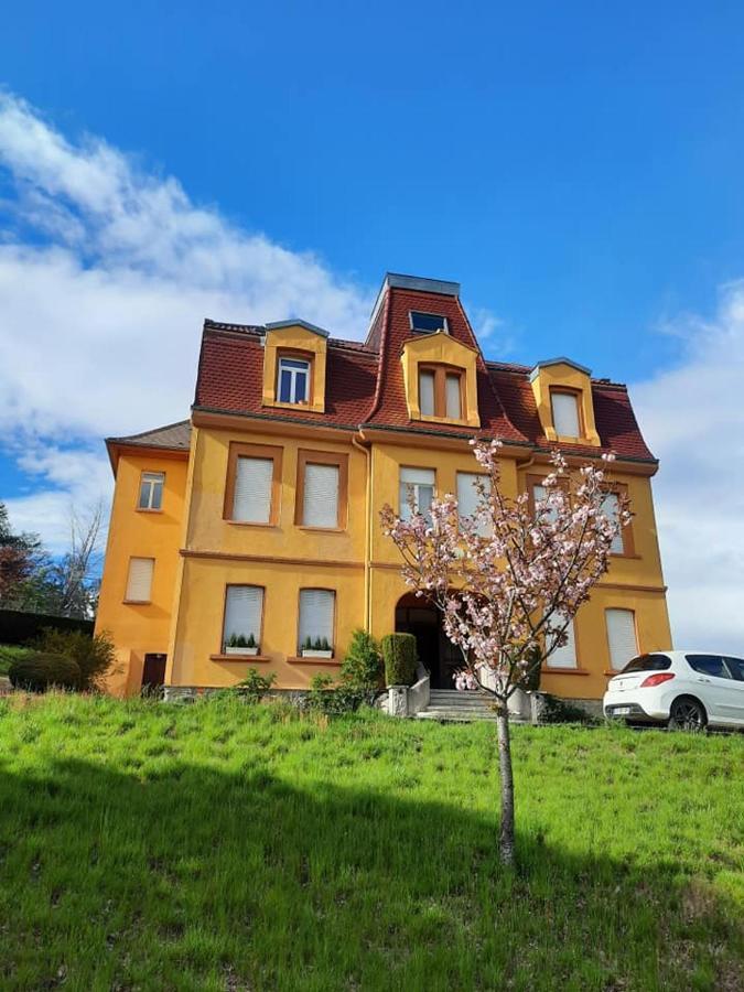 Studio Soleil Au Hohwald Esterno foto
